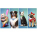 The Sims 4 Cats & Dogs (Xbox ONE / Xbox Series X|S) Microsoft Store
