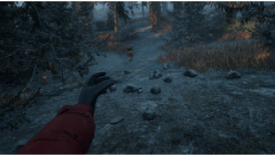 Winter Survival Steam